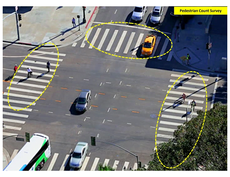 Pedestrian Count Survey